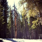 photo-2